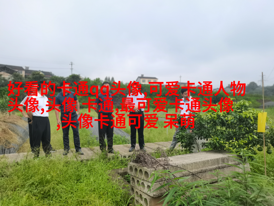 小清新头像漫画
