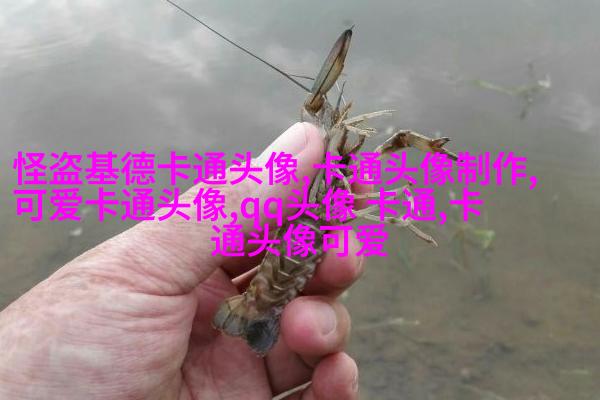 可爱的超萌头像