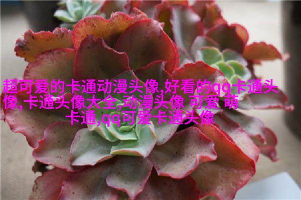 帅气可爱的女生头像(精选24张)