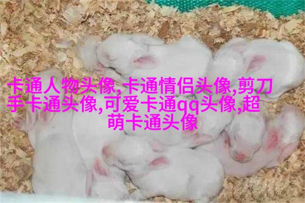 高清好看的文艺小清新头像图片(优选18张)