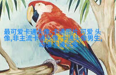 男生帅气萌头像_萌萌的帅男神