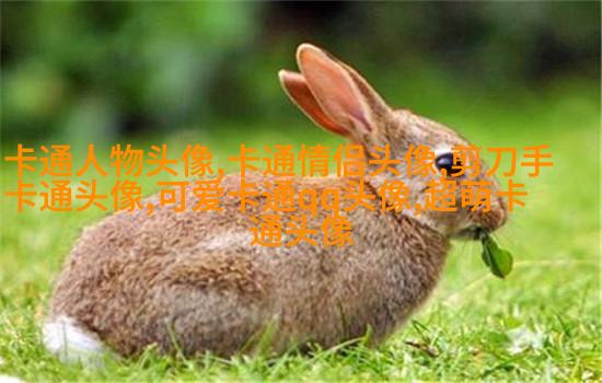 高清好看的文艺小清新头像图片(优选18张)