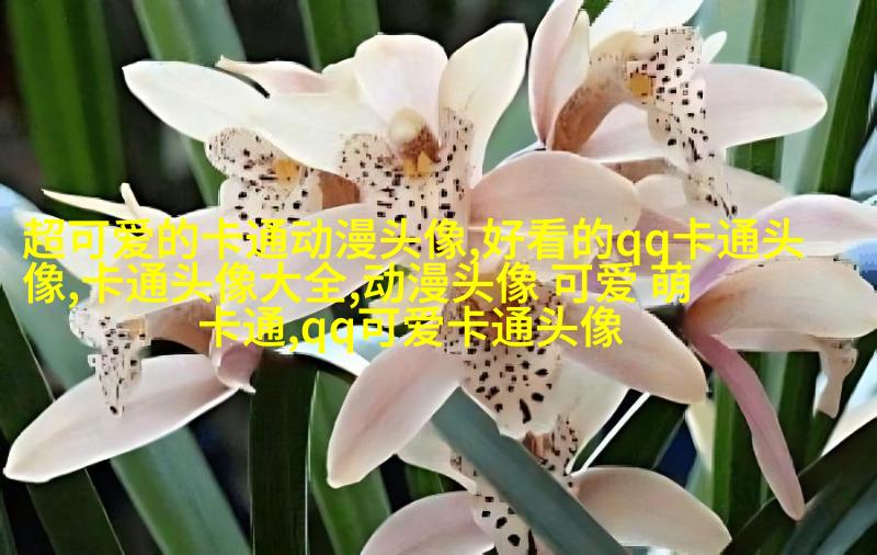帅气可爱的女生头像(精选24张)