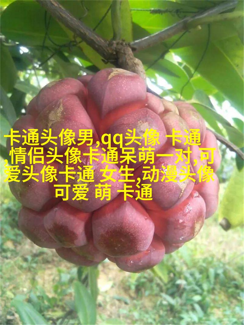亲蜜的情侣头像