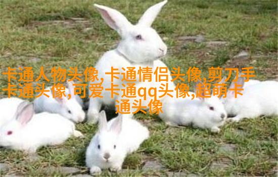 高清好看的文艺小清新头像图片(优选18张)