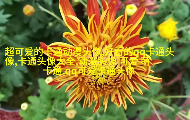 帅气可爱的女生头像(精选24张)