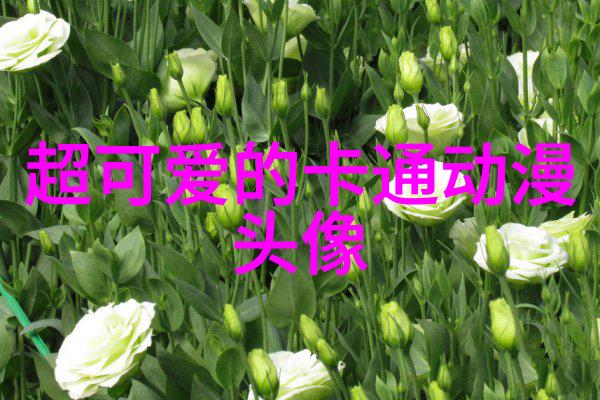 帅气可爱的女生头像(精选24张)
