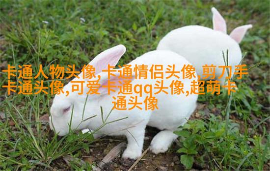 高清好看的文艺小清新头像图片(优选18张)
