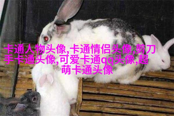 高清好看的文艺小清新头像图片(优选18张)