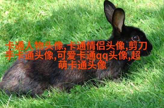 高清好看的文艺小清新头像图片(优选18张)