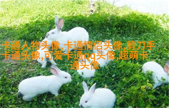 高清好看的文艺小清新头像图片(优选18张)