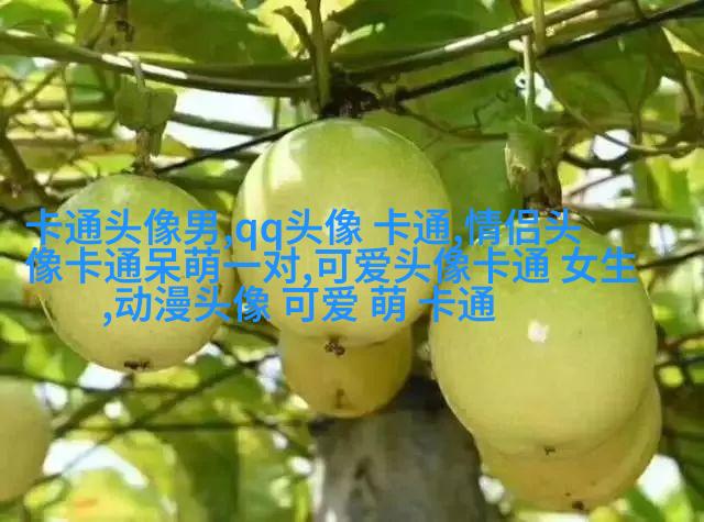 亲蜜的情侣头像