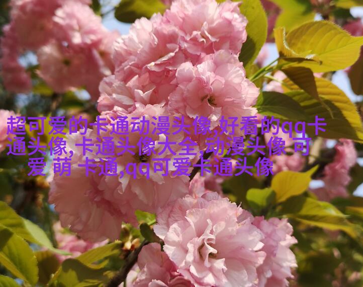 帅气可爱的女生头像(精选24张)