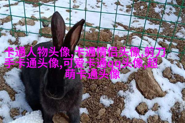 高清好看的文艺小清新头像图片(优选18张)